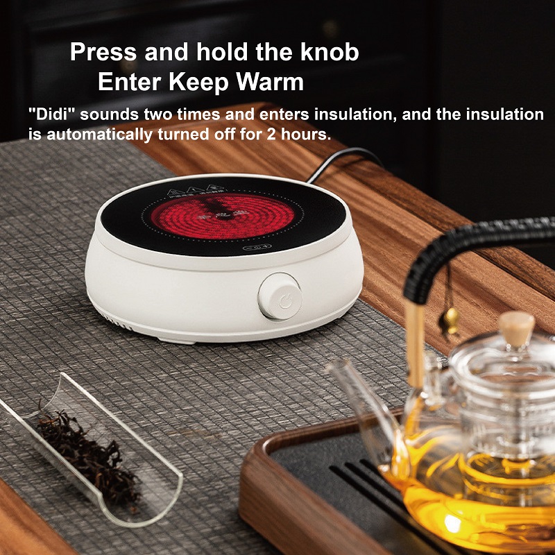 110V/220V Electric Ceramic Sto - Coffee Tea Water Heater recensie en prijs