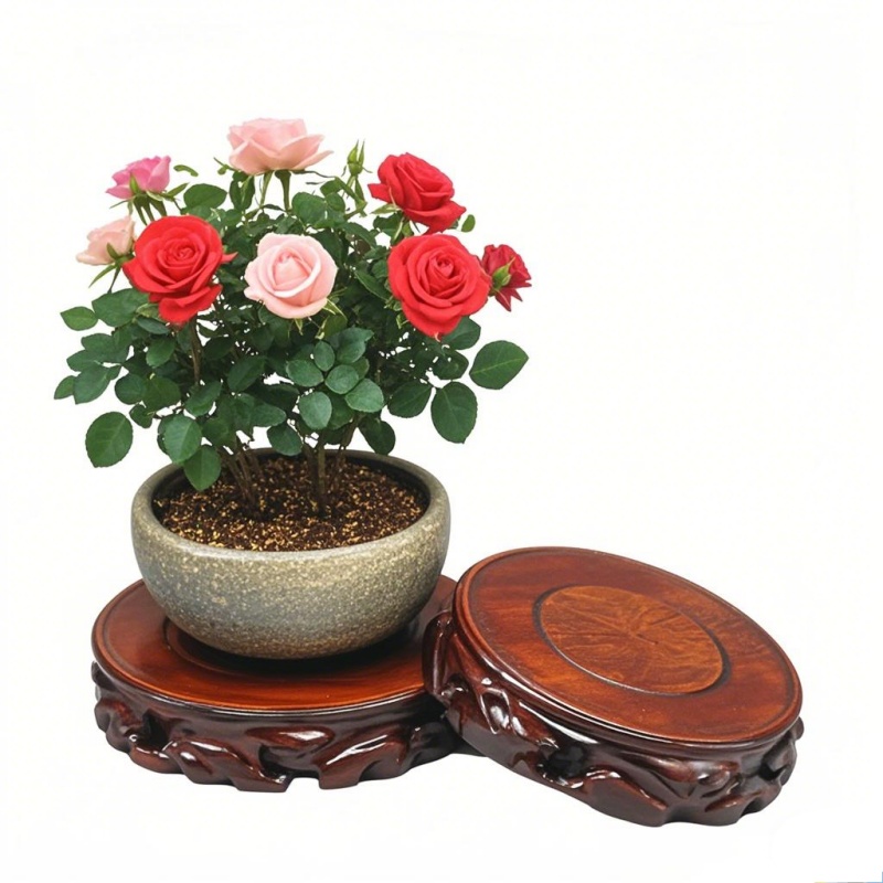 Wooden Plant Saucer & Flower P - Coffee Tea Garden recensie en prijs
