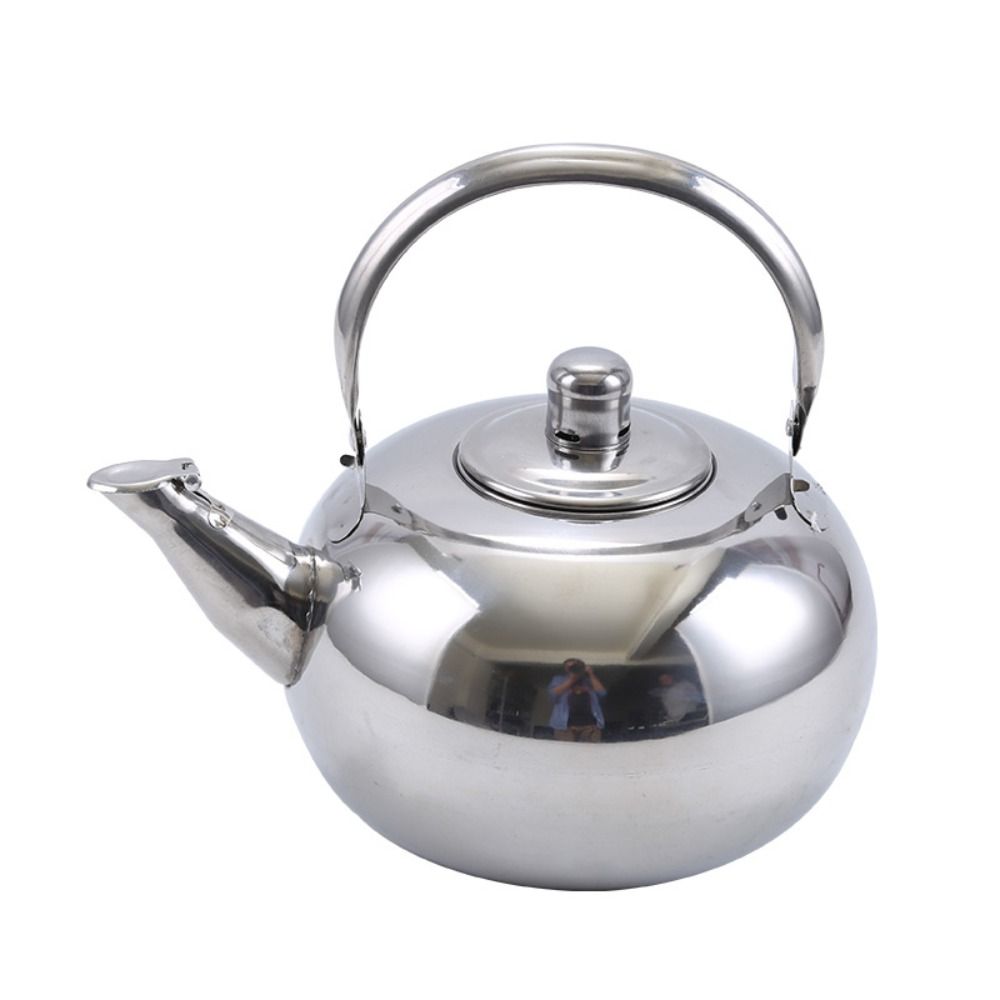Portable Stainless Steel Water - Coffee Tea Water Heater recensie en prijs