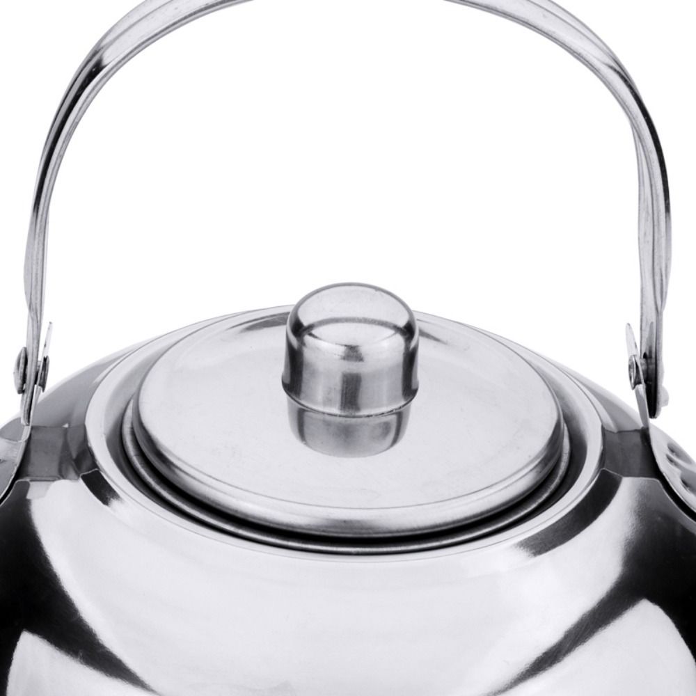 Portable Stainless Steel Water - Coffee Tea Water Heater recensie en prijs